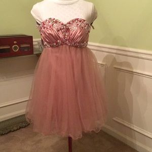 Gorgeous pink blush Tulle Dress xs